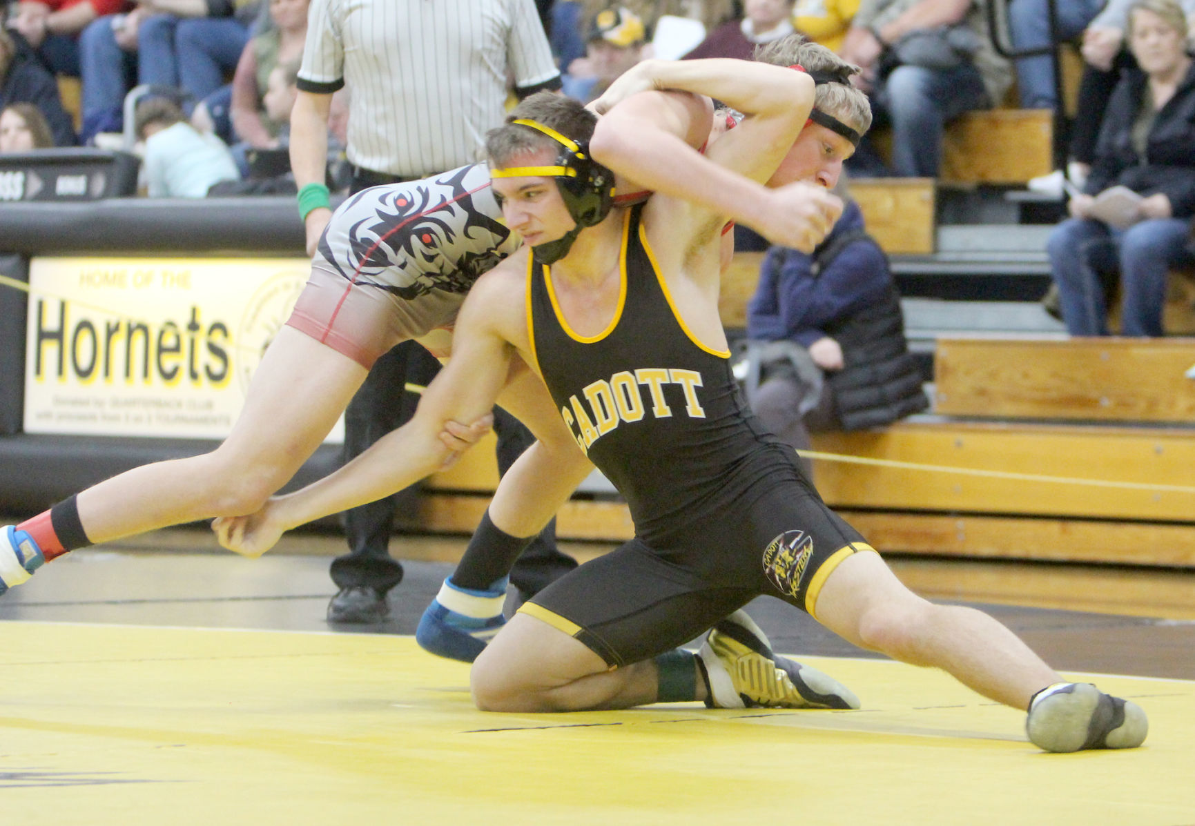 Division 3 wrestling regionals at Cadott 2-9-19